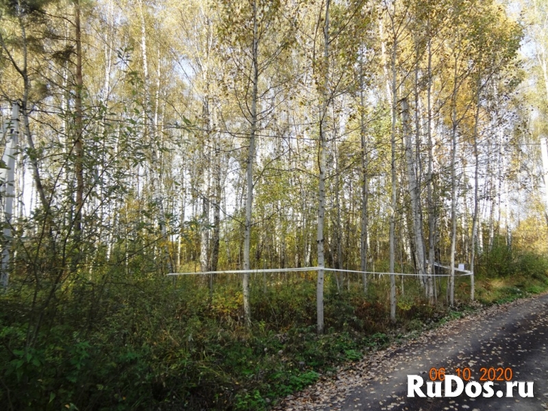 Продается садовый участок 8 соток Раменский р-н д.Бояркино СНТ Ви фото