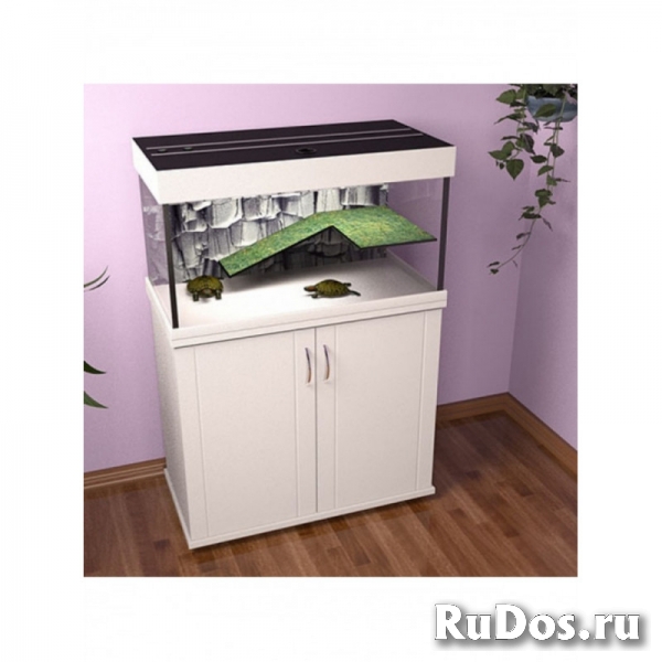 Магазин аквариумов фотка