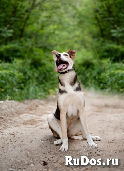 Ума — девочка, которая ждёт именно своего человека изображение 5