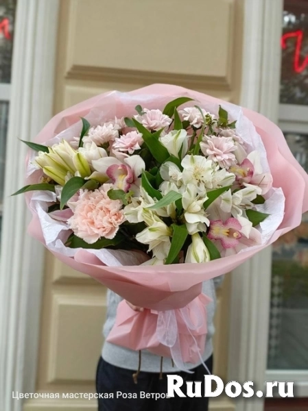 , купить растения фото