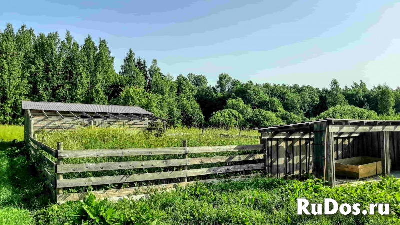 Добротный дом с хоз-вом и баней на уютном хуторе изображение 4