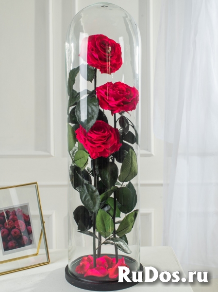 Роза в колбе оптом изображение 8