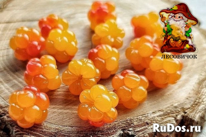 Морошка ягоды купить. Морошка свежая и мороженая фото