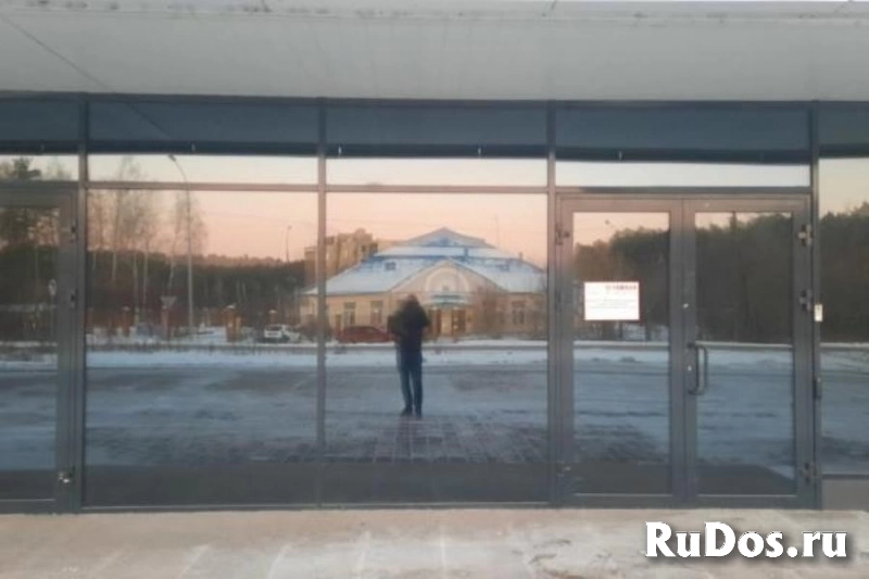 Тонирование окон, дверей в доме, коттедже изображение 4