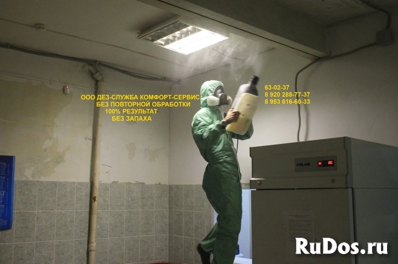 Уничтожение тараканов, блох, клопов, муравьев изображение 6