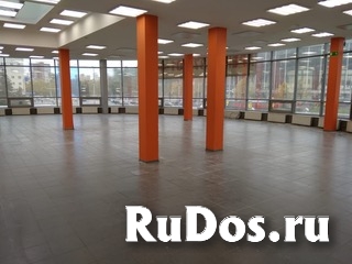 Сдается торговая площадь в ТЦ "ОЛИМП 80-550м2 изображение 4