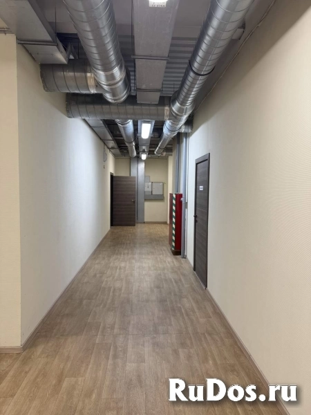 Сдам коммерческую недвижимость 241 м2 изображение 4