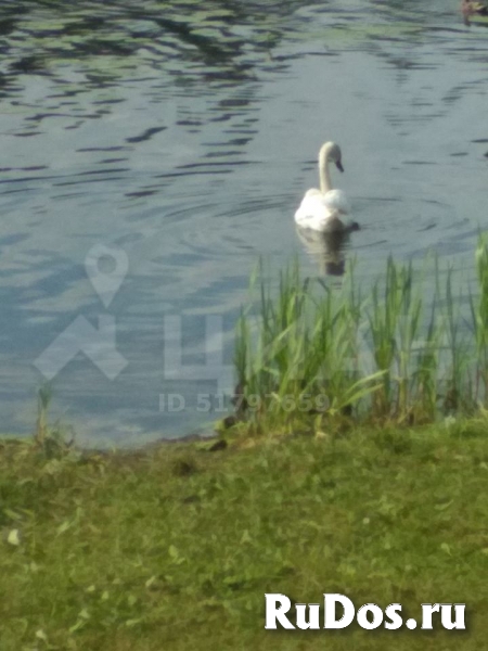 Участок 18 соток в коттеджном поселке изображение 5