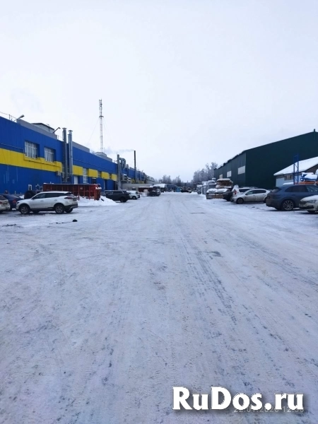 Сдам коммерческую недвижимость 1648.8 м2 изображение 5
