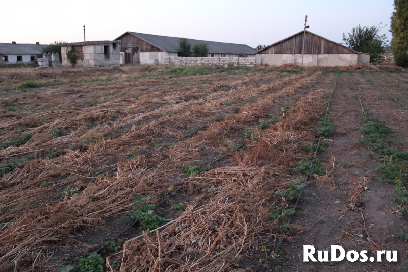 Предлагаются в аренду помещения фотка