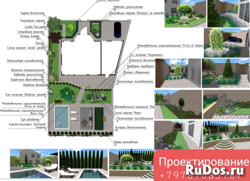 Консультации ландшафтного дизайнера изображение 5