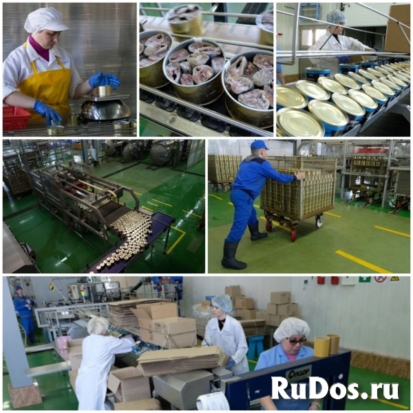 Рыбообработчик фото