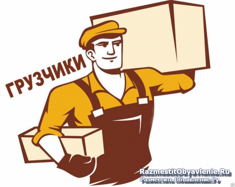 Услуги опытных Грузчиков фото
