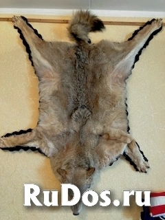 , частное объявление изображение 5