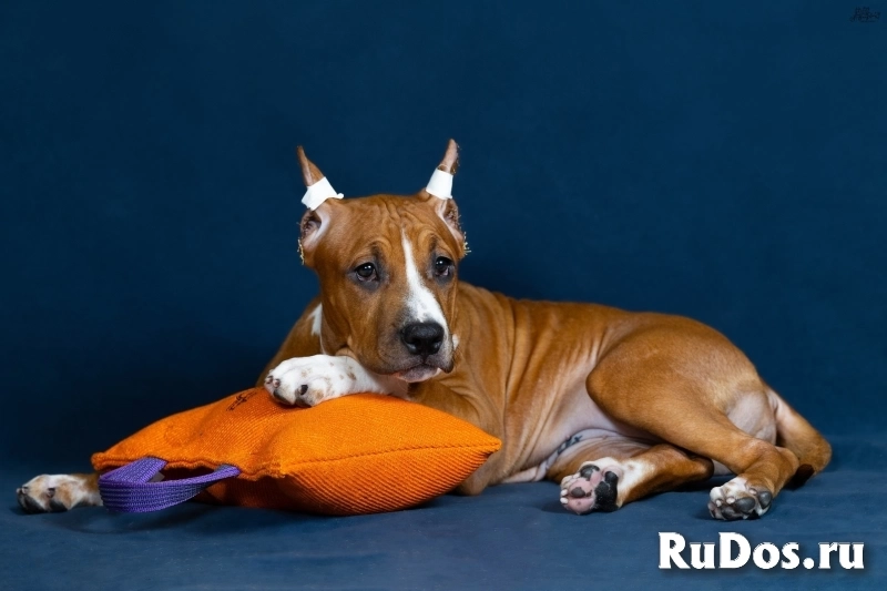 Красивая  девочка аст для души5 ме сяцев фотка