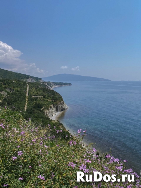 Сотрудник фото