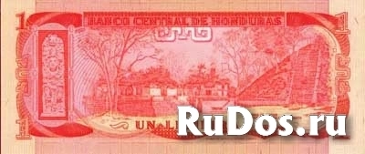 Банкнота Гондураса фотка
