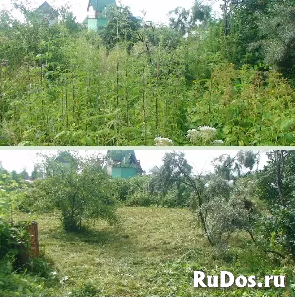 Расчистка участков; Благоустройство; Вывоз мусора: Недорого! Воронеж изображение 6