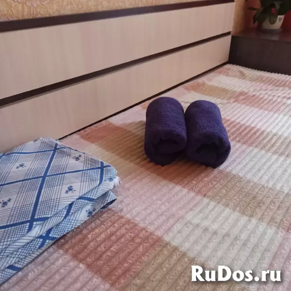 Квартира посуточно в г. Яровое изображение 7