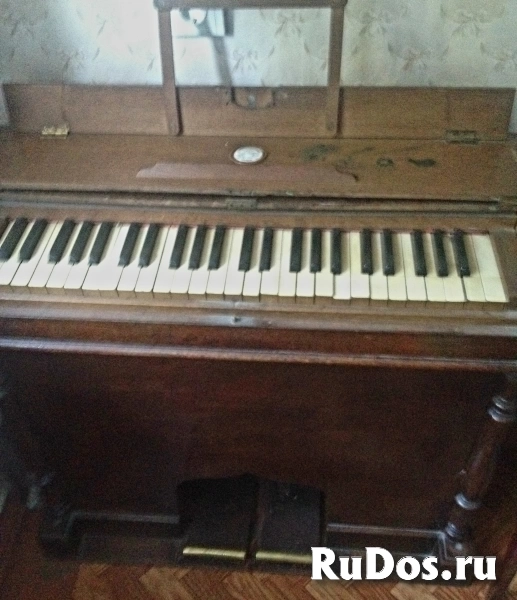 Фисгармонь фото