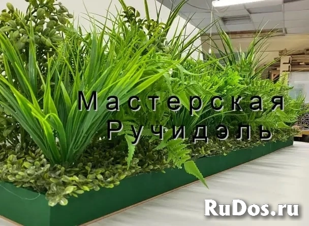 Искусственные растения для офиса, фито-композиции на заказ изображение 11