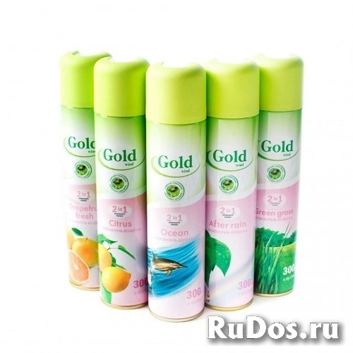 Освежитель воздуха Голд Винд 300мл ПОСЛЕ ДОЖДЯ (12 фото