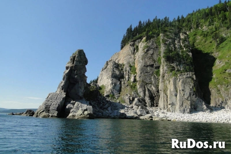 Навстречу китам! Тур по акватории Охотского моря фотка