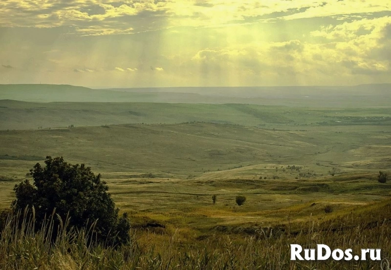 Пай 5,78 гектара,Хомутовская степь,Донецк фотка