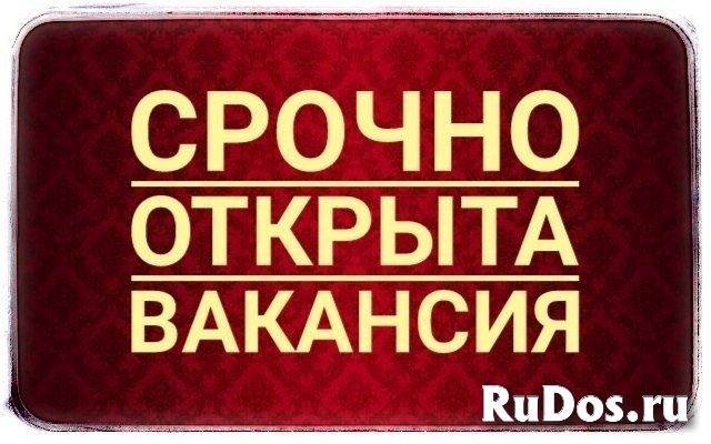 Meнеджep инmернeт магaзинa yдалeнно с гибкuм грaфuком фото