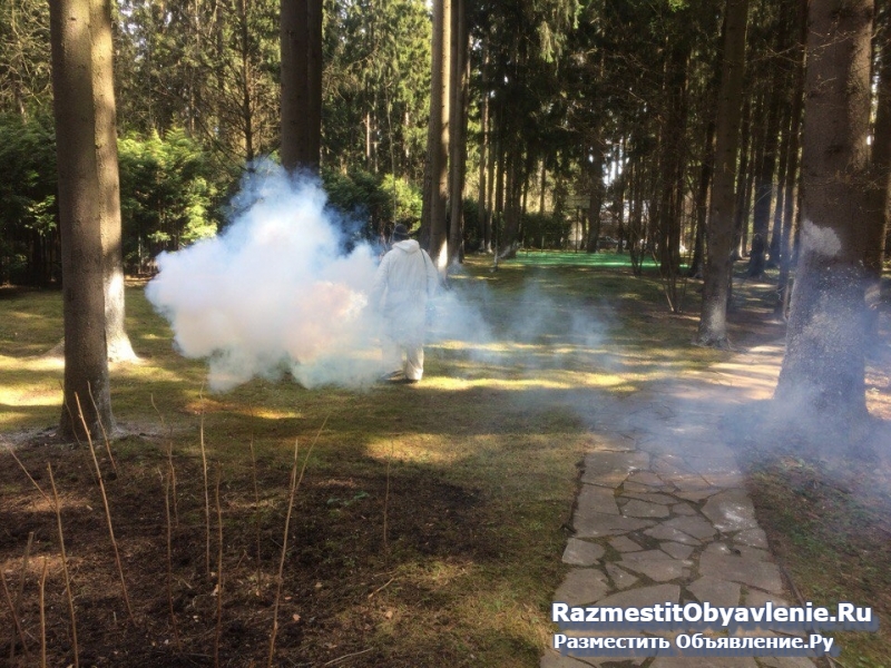 Уничтожение клещей и комаров на даче Дмитров фото