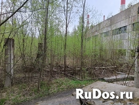Продам коммерческую недвижимость 3620 м2 изображение 3