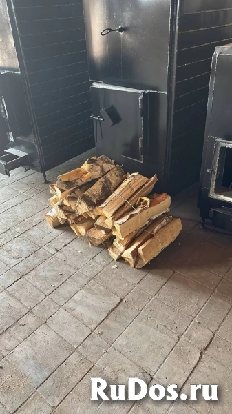 Котел Попова изображение 4