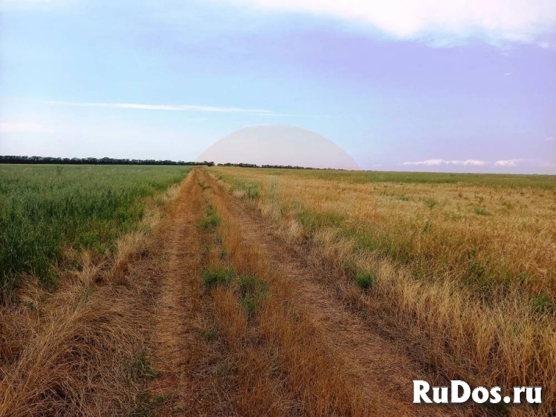 Продам участок 495 сот. изображение 3