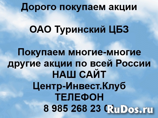 Покупка акций ОАО Туринский ЦБЗ фото