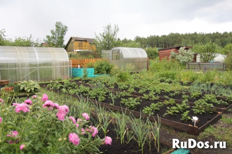 Продам дачу 30 кв.м. изображение 8