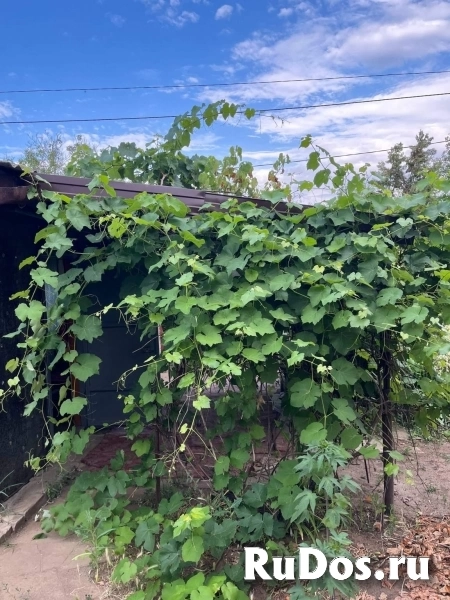 Продам дом 26 м2 изображение 8