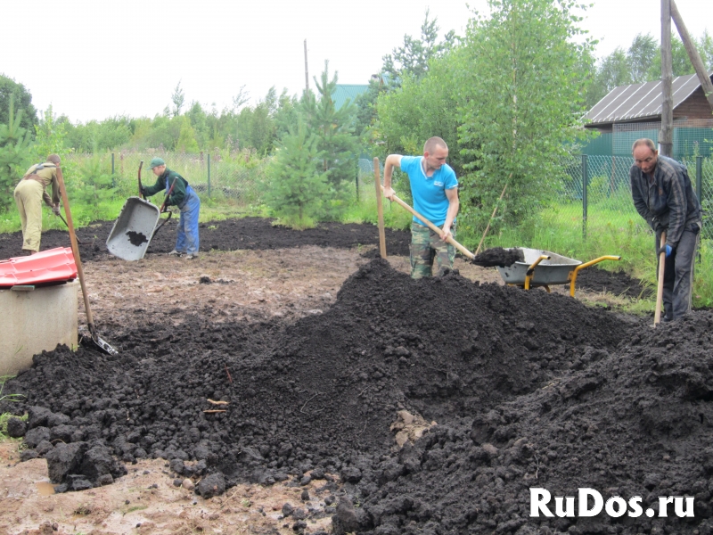 Разнорабочие Землекопы изображение 6