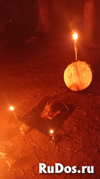 Удивительные способности и знания у Александра Богдановича Литвин изображение 3