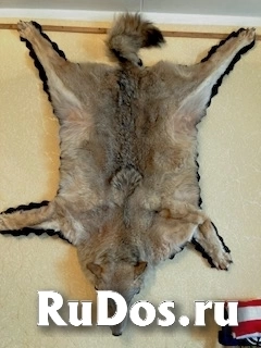 , частное объявление изображение 4