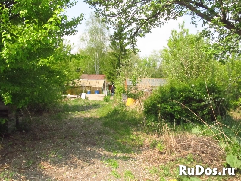 Дача СНТ Авиаспортклуб изображение 12