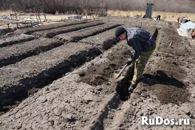 Земляные работы: Недорого! Воронеж изображение 11