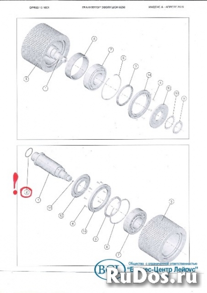 Уплотнительное кольцо R44 Evolution 50001781 оси ролика фотка
