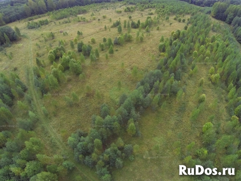 Бартер на участок ИЖС 1га., граничит с рекой Малая Коша. изображение 11