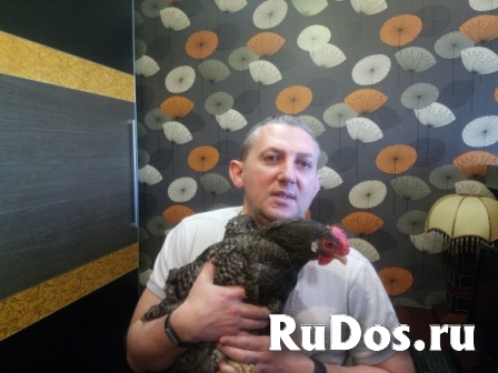 Лечение попугаев и птиц в Москве. фотка