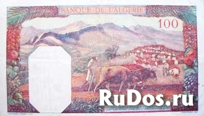 Банкнота Алжира - французская колония фотка