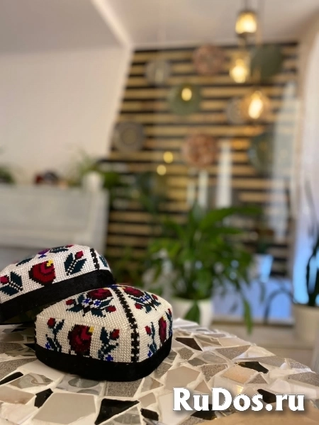 Продажа готового ресторана в центре города изображение 5