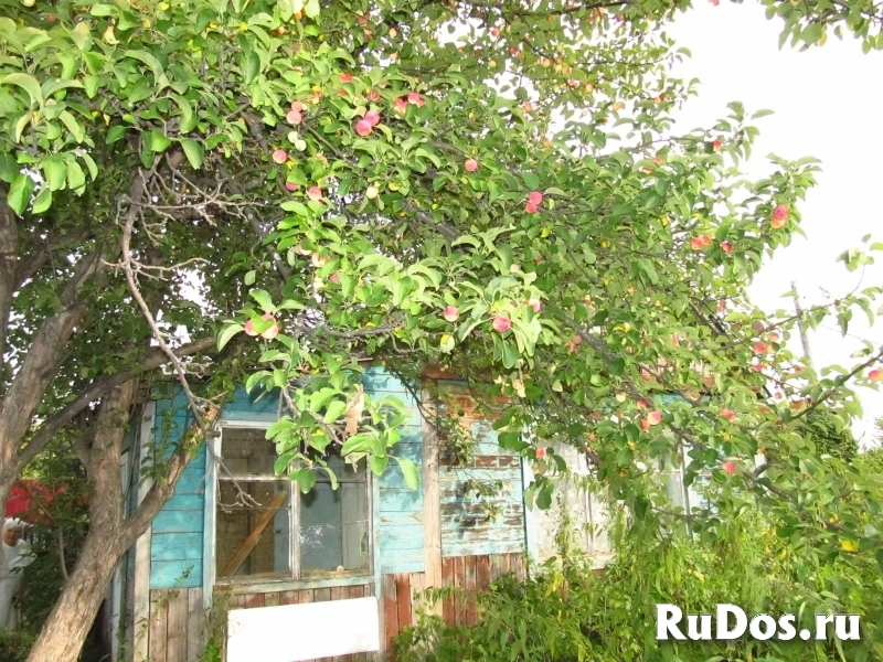 Дача СНТ КСМ-2 изображение 7