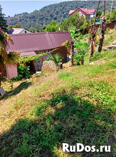 Продам дом с земельным участком в Сочи, р-н Хоста. изображение 3