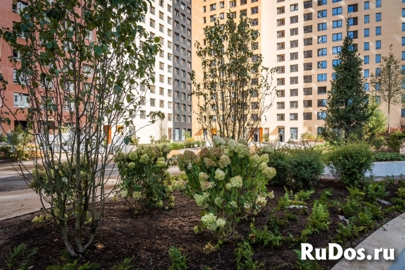 Продам коммерческую недвижимость 3.9 м2 изображение 3