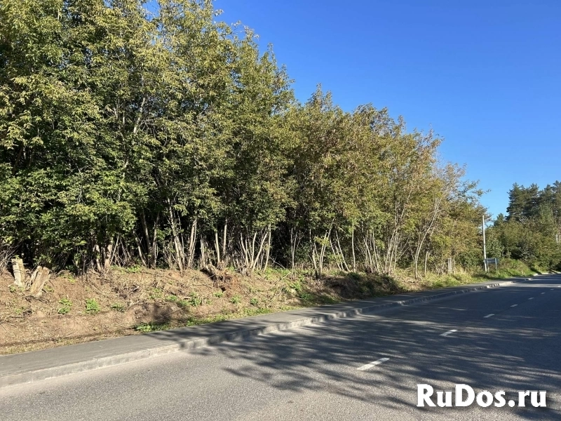 Продам коммерческую недвижимость 536 м2 изображение 3